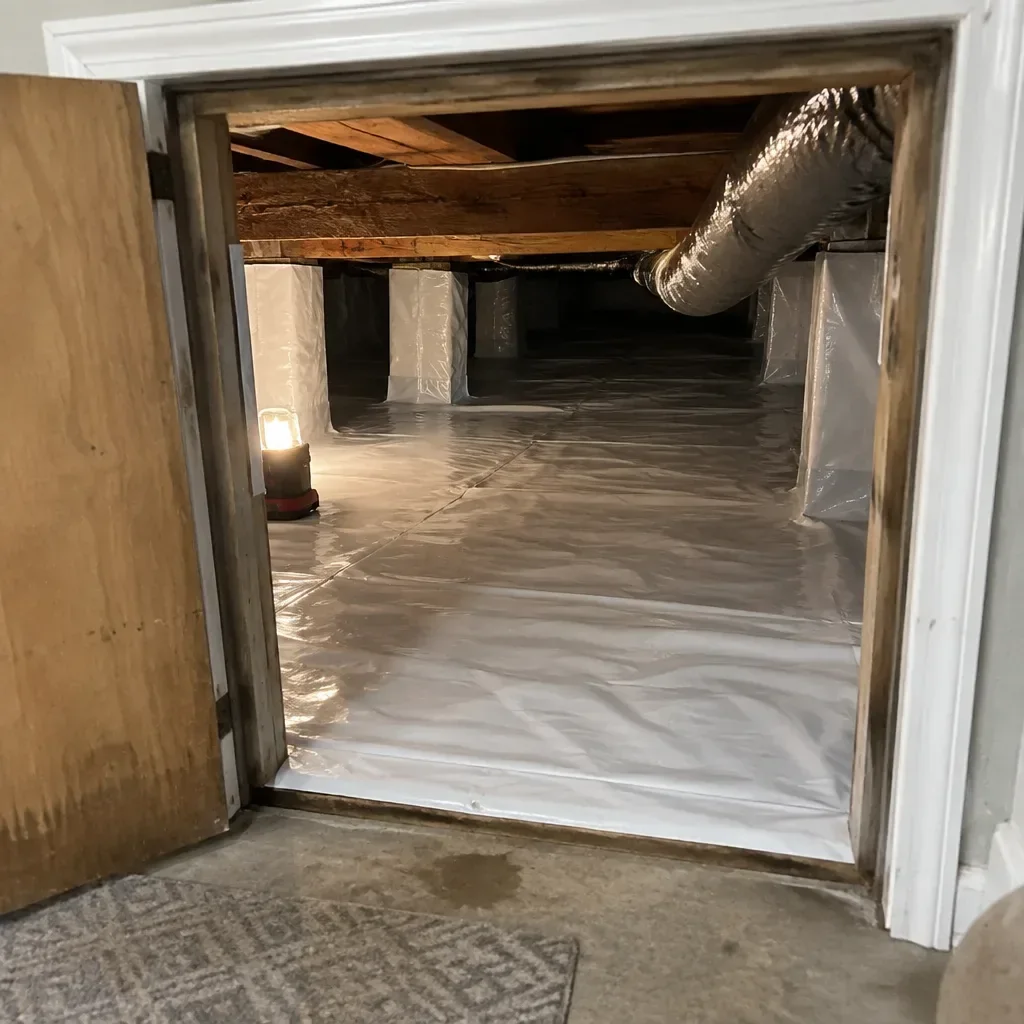 Crawl Space Sewage Cleanup service in Longmont, CO
